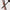 Catrice Cosmetics Glam & Doll Volume Brown Mascara Waterproof (10ml) - Lifestyle Shot 1