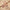 Catrice Cosmetics More Than Glow Highlighter (5.9g) - Lifestyle Shot