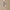 A gold tube of UKLASH's UKBROW Eyebrow Serum (3ml), crafted as a powerful enhancer for brow hair growth, sits gracefully with its applicator wand unscrewed and ready for application. The background features a smooth, light beige hue.