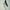 UKLASH Lengthening Mascara (7ml) - Lifestyle Shot