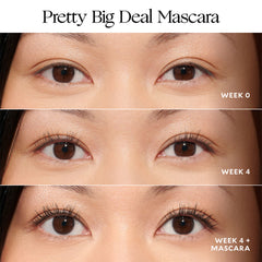 Velour 24 Hr Lash Care Kit (Pretty Big Deal Mascara Results)