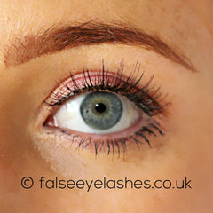 Ardell Color Impact Lashes 110 Plum - Model Shot 1