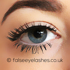 Ardell Flawless Lashes 805 - Front Shot