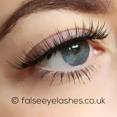 Ardell Flawless Lashes 804 (Model Shot 2)