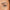 A close-up of a face emphasizes a green eye accentuated by Boldface's Short and Sweet lashes and a perfectly groomed eyebrow. The skin displays a smooth texture with a natural complexion, embodying the essence of cruelty-free beauty.