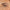 A close-up of a person's left eye showcases green and hazel hues, framed by thick, well-groomed eyebrows and enhanced with cruelty-free makeup. Boldface's