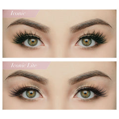 House of Lashes - Iconic Lite (Versus Normal Iconic)