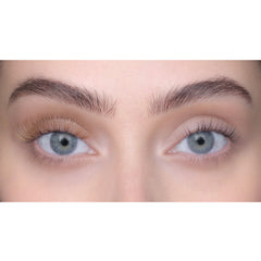 SWEED Lashes - Dina (Dark Blonde) - Model Shot