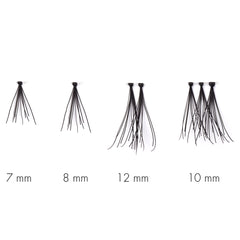 SWEED x Nikki_Makeup - Nikki Cluster (Lash Scan)
