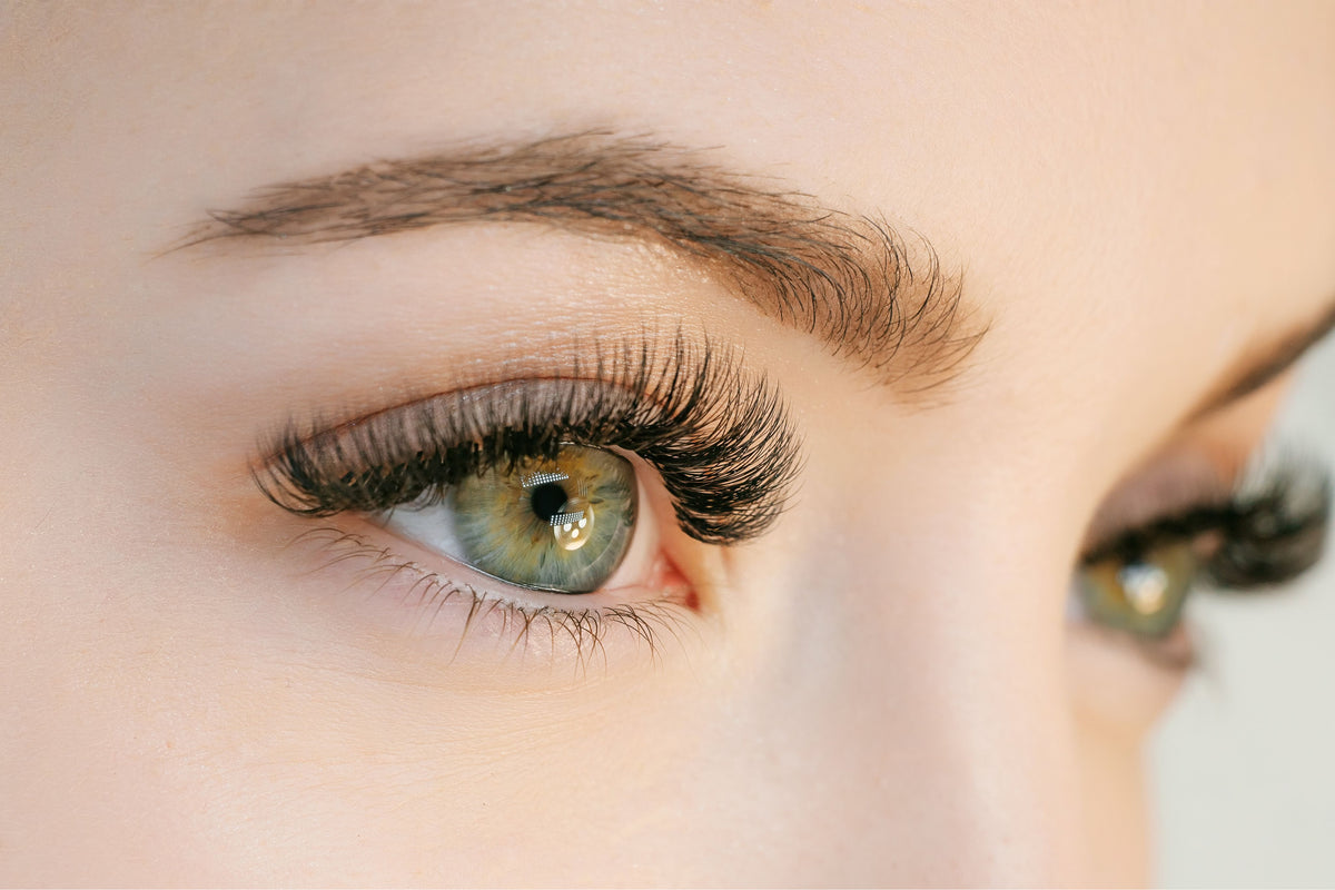 What are LVL Lashes?