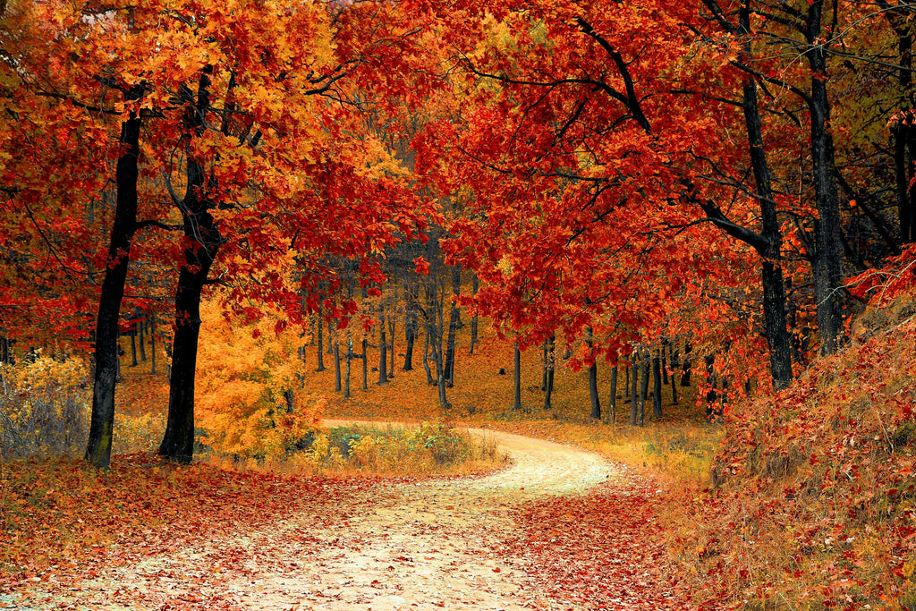 Your Autumn Glow Up Guide