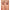 Ardell Pre-Mapped Extensions Kit Cat Eye (4 Pairs) - Model Shot 3