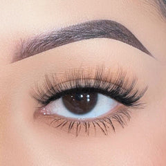 Boldface Lashes - Elevated (Model Shot)