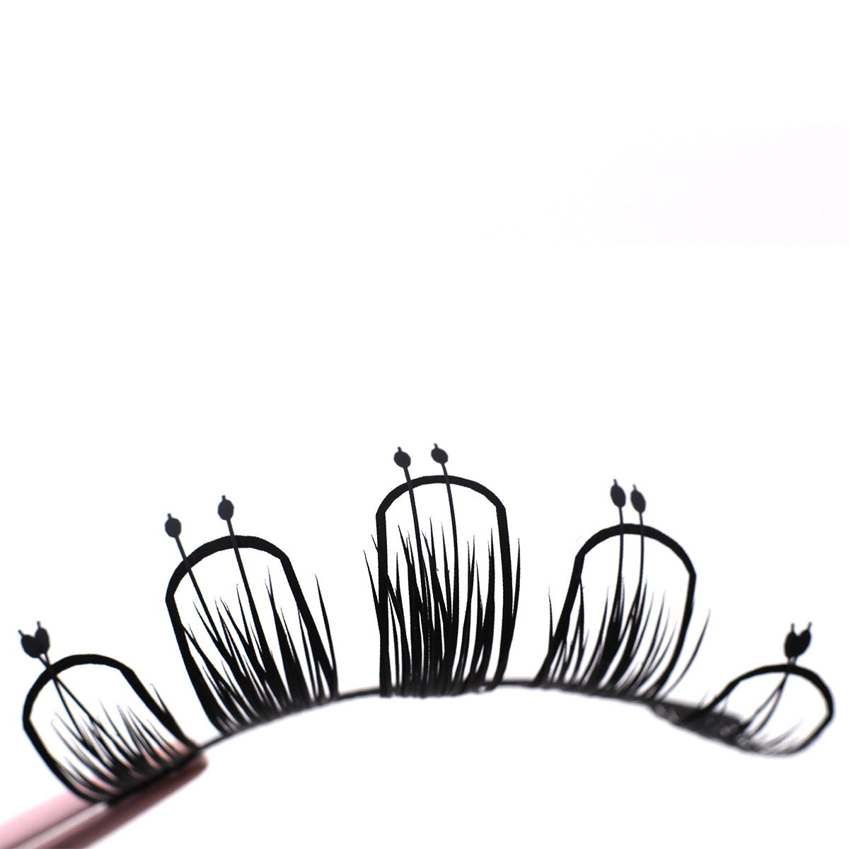 Boldface Lashes - Petals (Lash Close-Up)