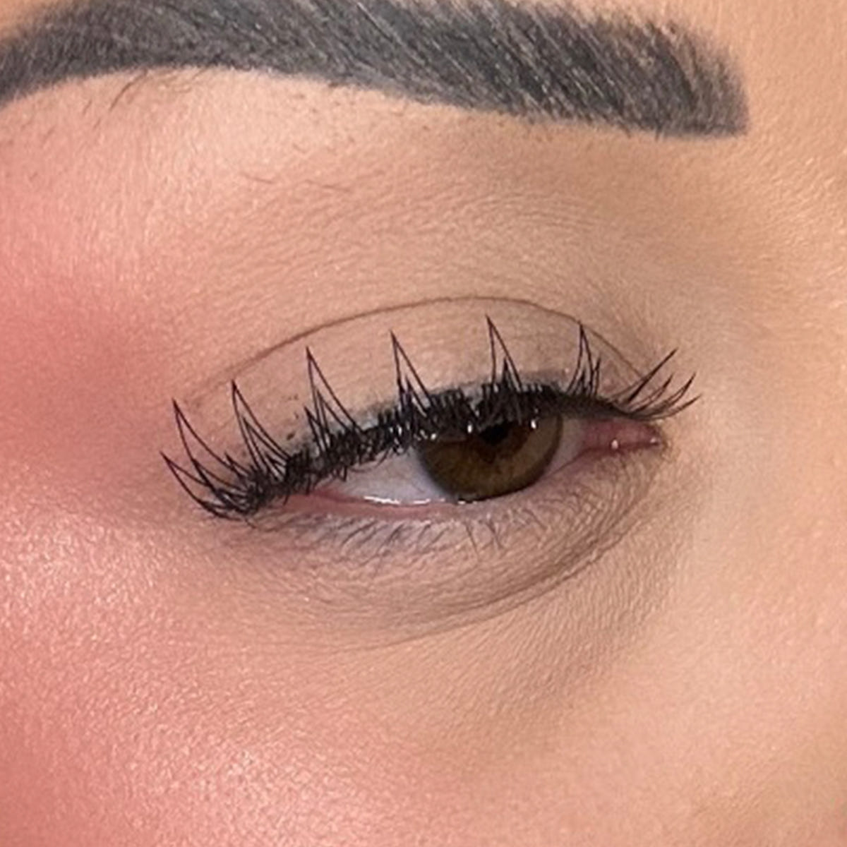 Boldface Lashes - Pointers (Model Shot 2)