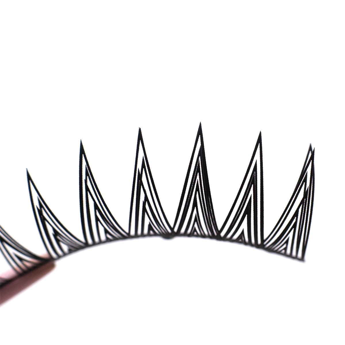 Boldface Lashes - Pointers (Lash Close-Up)