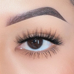 Boldface Lashes - Public Eye (Model Shot)