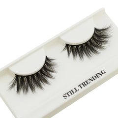 Boldface Lashes - Still Trending (Tray Shot)