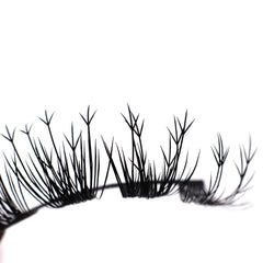 Boldface Lashes - Tweet Tweet (Lash Close-Up)