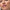 Catrice Cosmetics Plump It Up Lip Booster (3.5ml) - Model Shot 5 [050 Good Vibrations]