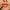 Essence 8H Matte Comfort Lip Liner (0.3g) - Model Shot 2 [01 Cinnamon Spice]