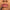 Essence 8H Matte Comfort Lip Liner (0.3g) - Model Shot 3 [02 Silky Hazelnut]