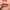 Essence 8H Matte Comfort Lip Liner (0.3g) - Model Shot 3 [08 Dark Berry]