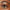 Essence Brow Powder Duo Set (1.8g) - Model Shot 2 [03 Dark]