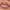 Essence Juicy Bomb Shiny Lipgloss (10ml) - Model Shot 2 [101 Lovely Litchi]