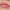 Essence Juicy Bomb Shiny Lipgloss (10ml) - Model Shot 2 [102 Witty Watermelon]