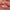 Essence Juicy Bomb Shiny Lipgloss (10ml) - Model Shot 2 [104 Poppin' Pomegranate]