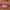 Essence Juicy Bomb Shiny Lipgloss (10ml) - Model Shot 1 [105 Bouncy Bubblegum]
