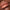Essence Soft & Precise Lip Pencil (0.78g) - Model Shot 3 [203 My Advice]