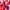 Essence What A Tint! Lip & Cheek Tint (4.9ml) - Lifestyle Shot 2