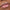Essence What The Fake! Plumping Lip Filler (4.2ml) - Model Shot 2 [01 Oh My Plump!]