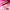 Essence What The Fake! Plumping Lip Filler (4.2ml) - Lifestyle Shot 3 [01 Oh My Plump!]