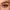 Eyecha Eco Press-On False Lashes - Petal (Model Shot)