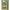Eyecha Eco Press-On False Lashes - Sunrise