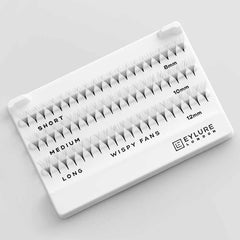 Eylure Salon Extensions - Wispy Fans (Tray Shot)