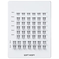 Kiss Falscara Mega Multipack - Soft Wispy (Tray Shot 1)