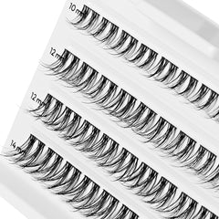 Kiss Falscara Multipack - Bold Wispy (Tray Shot 2)