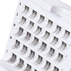 Kiss Falscara - Shorty Wisps Multipack (30 Pack) - Angled Tray Shot