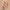 Kiss False Nails Salon Acrylic Nude French Nails - Leilani (Model Shot)