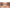 Kiss Lash Atelier Lash Extensions Design Kit - Anime (Model Shot 4)