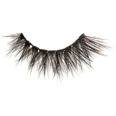 Kiss Lash Glue Liner Black & Appeal Lashes (Lash Scan 1)