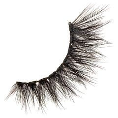 Kiss Lash Glue Liner Black & Appeal Lashes (Lash Scan 2)