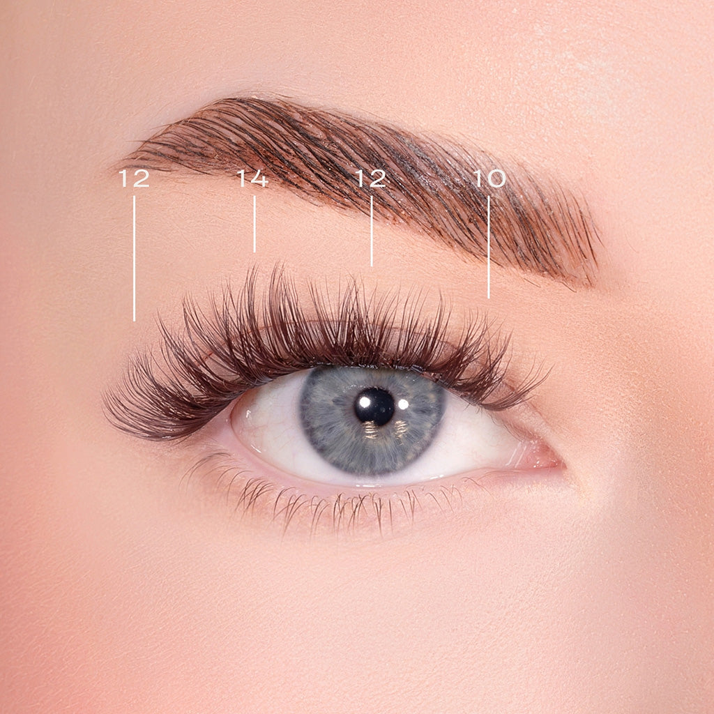 Lola's Lashes Pre-Glued Cluster Lashes - Bold Definition Dark Brown ...