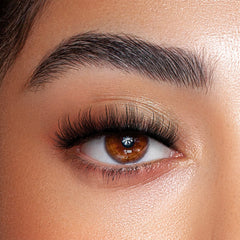 Close-up of a beautifully groomed eye with lush, thick eyelashes and a well-defined, full eyebrow. The eye features Pinky Goat Pre-Glued Under Lashes in Scarlett for a subtle, wispy finish. With a hint of metallic gold eyeshadow, the skin appears smooth and radiant, showcasing the makeup artistry's attention to detail.