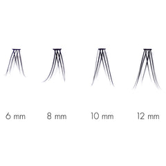 SWEED The Signature - No Lash-Lash (Lash Scan with Lengths)