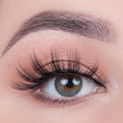 Land of lashes in style paloma